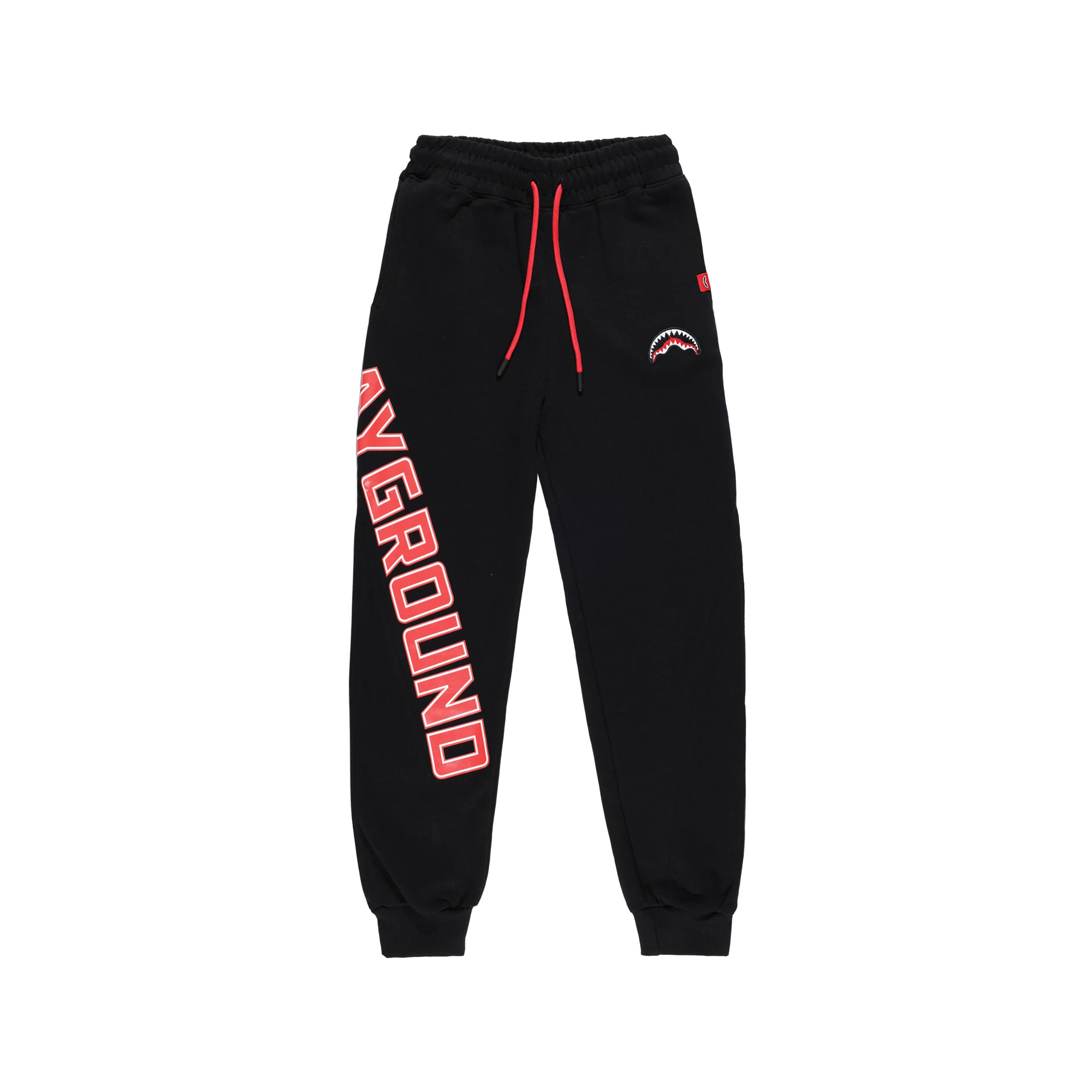 SPRAYGROUND PANTS BAGGY VGR